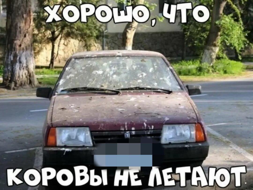 Действительно