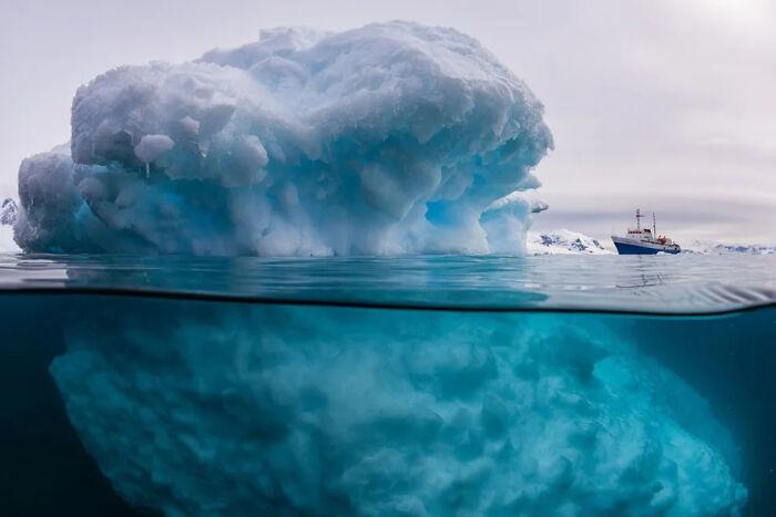 Фото: www.reddit.com/r/thalassophobia/