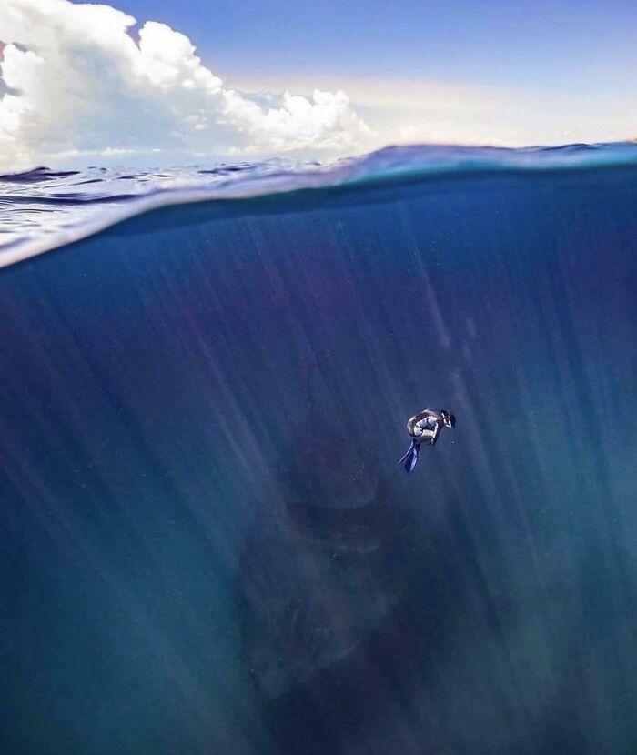 Фото: www.reddit.com/r/thalassophobia/