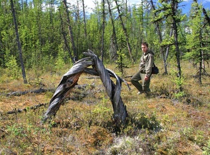  Совсем недавно, 30 июня 2024 года, «незаметно» исполнилось 115 лет с момента падения Тунгусского метеорита в малонаселённый участок Центральной Сибири.-7