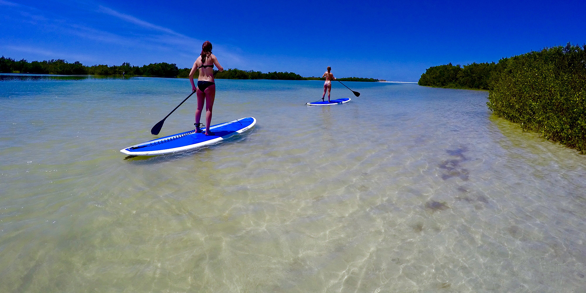 Island Park Paddle Board Rental