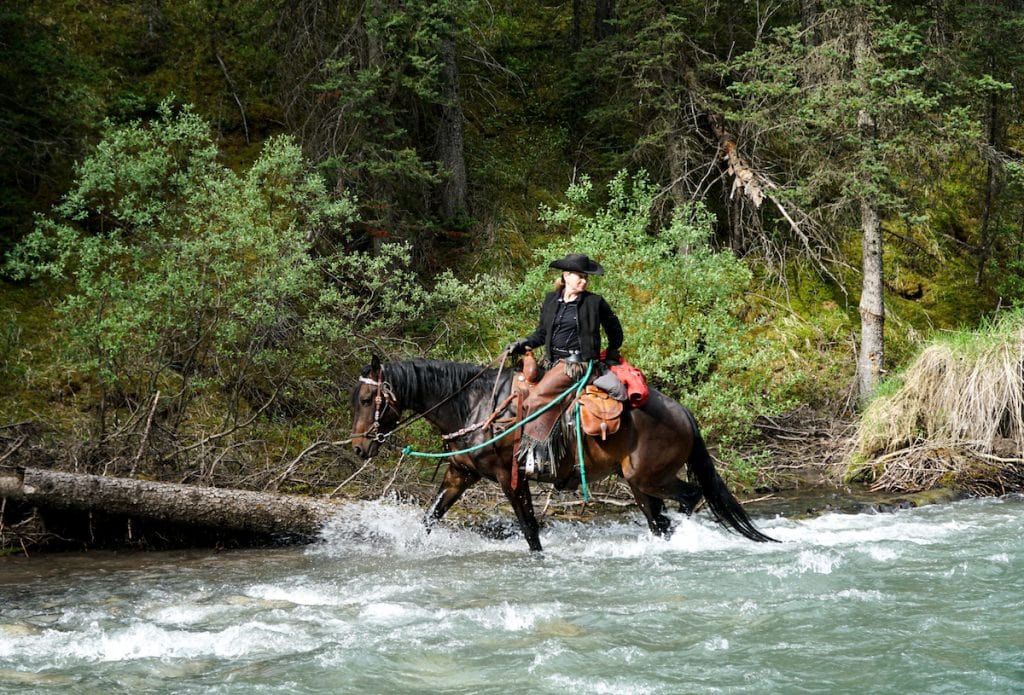 Horseback Rides