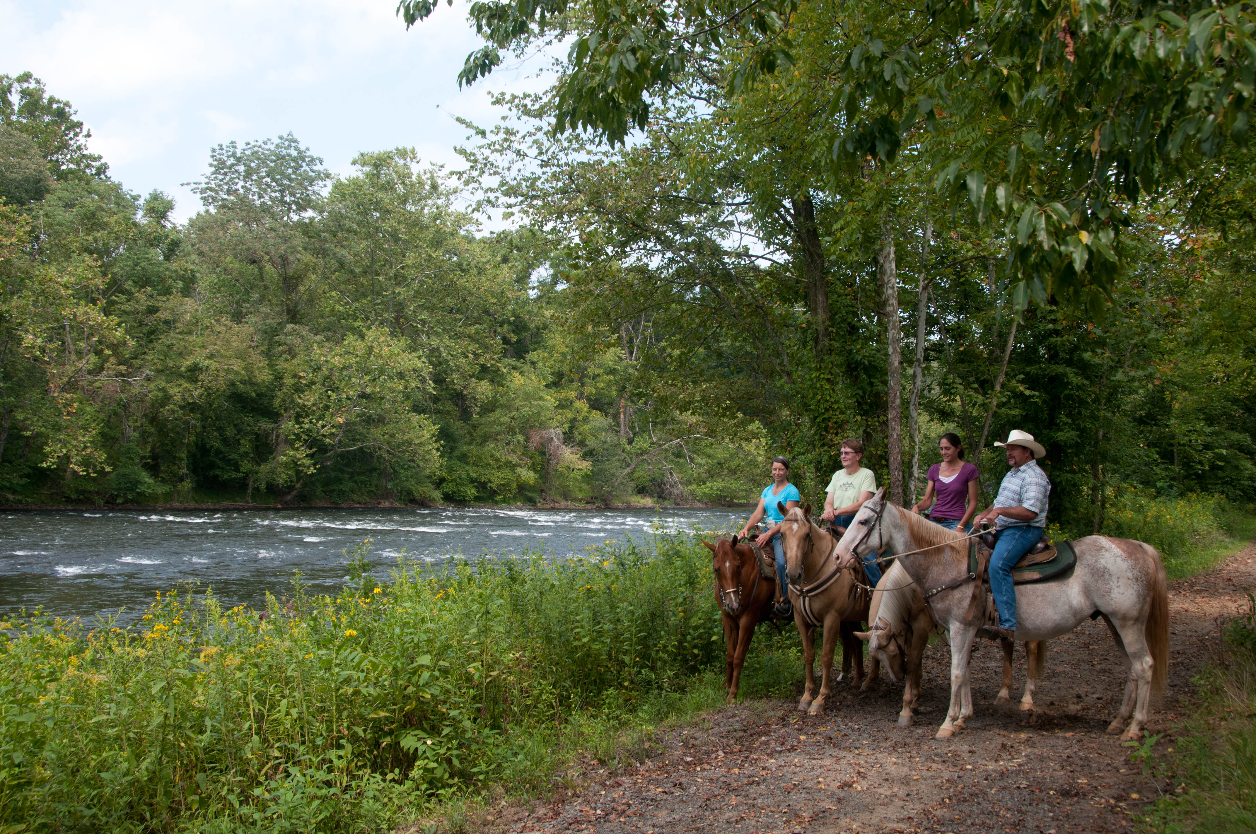 Horseback Rides