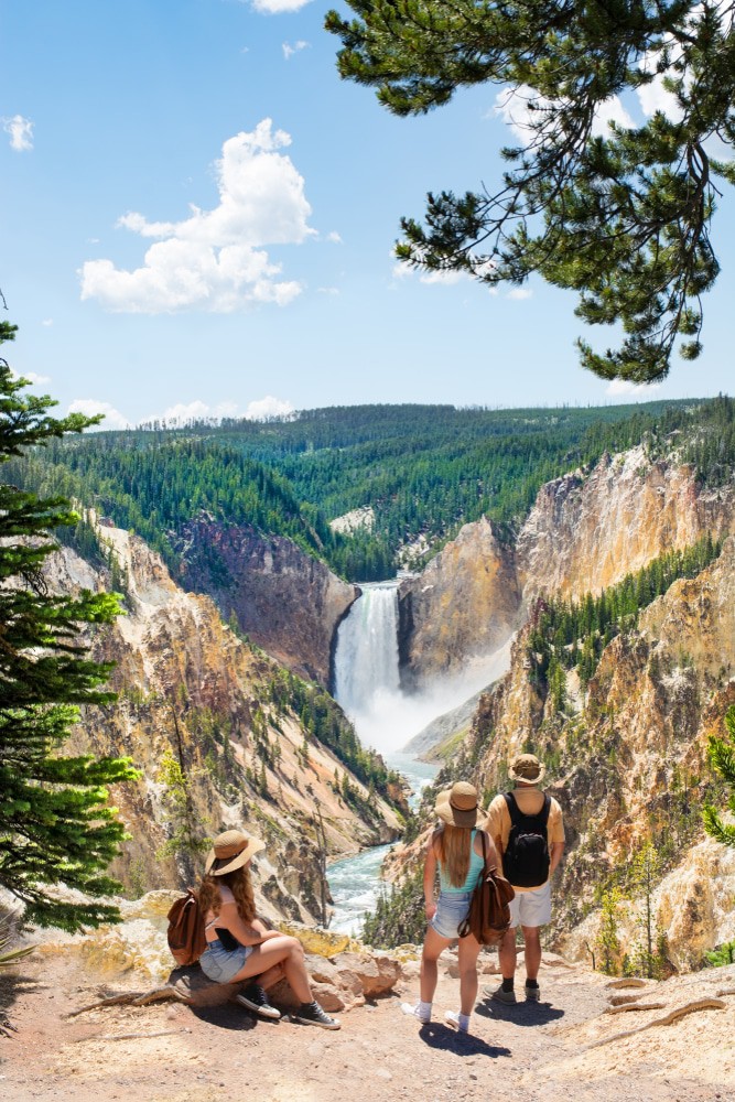 Guided Yellowstone Tours