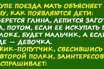 В купе поезда мать объясняет сыну, как появляются дети