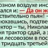 Решил наш директор проверить лесозаготвку