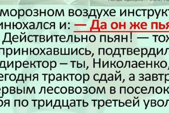 Решил наш директор проверить лесозаготвку