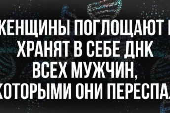 Каждый мужчина, с которым переспала женщина, навсегда остается с ней на уровне ДНК