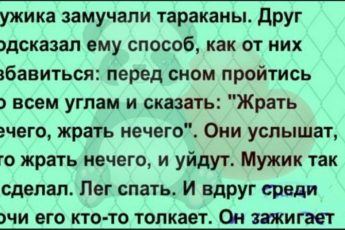 Очередная порция из 15 хороших и добрых расскахов с просторов интернета от обычных пользователей