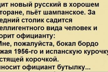 Великолепный анекдот про новоиспечённого русского и умного интеллигента, который очень хорошо разбирается в курицах.