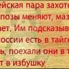 Новая подборка из 15 добрых жизненных коротких рассказов с просторов интернета