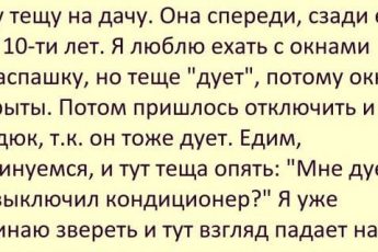 Веселые и забавные анекдоты- лучший способ поднять настроение в любой день