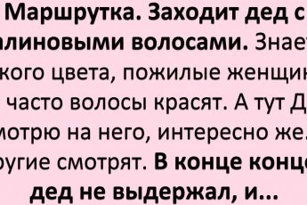 Хорошее настроение гарантировано! 16+ забавных историй из жизни