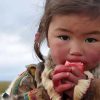 Копальхен — необычный и смертельно опасный северный деликатес